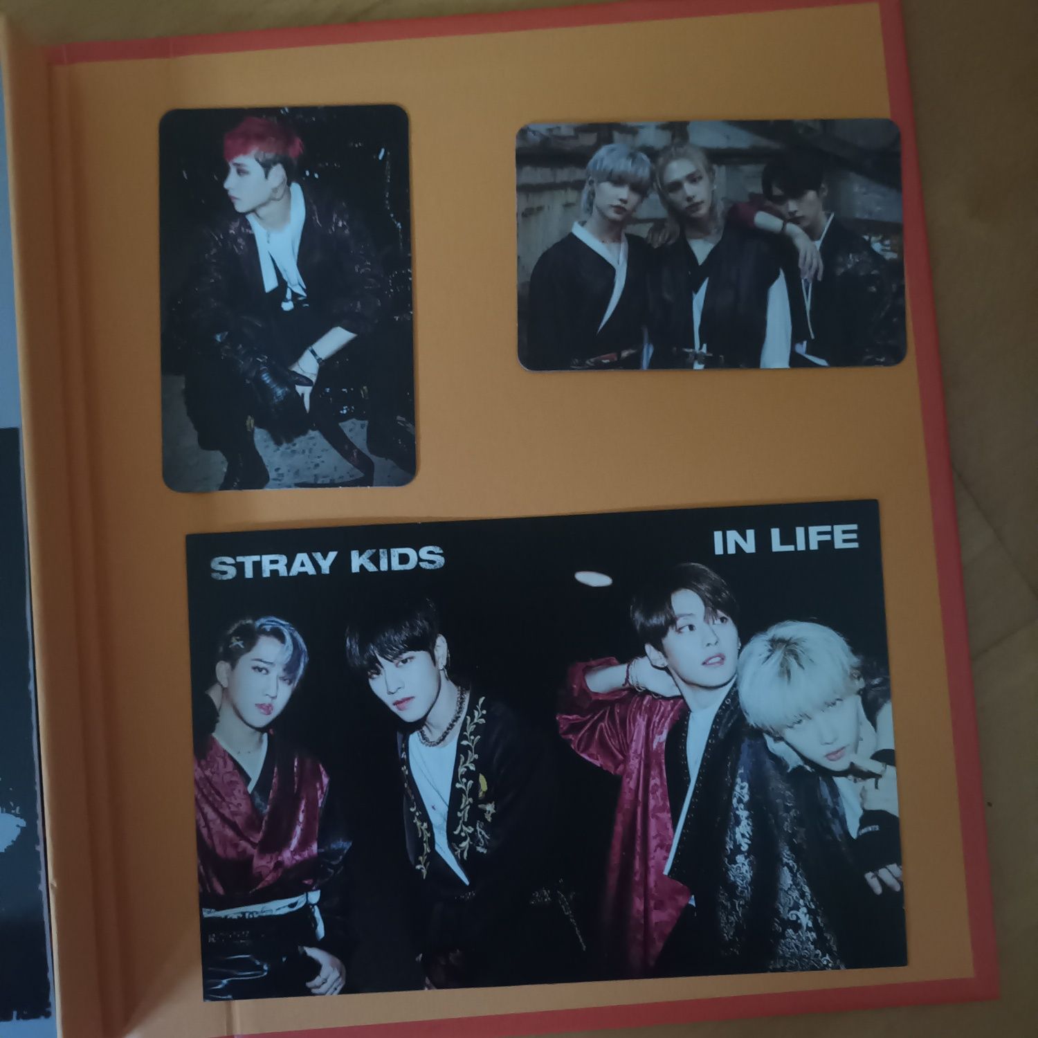 Album Stray Kids In Life