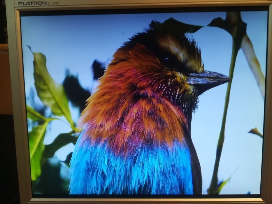 LG, LED, 17 " monitor.