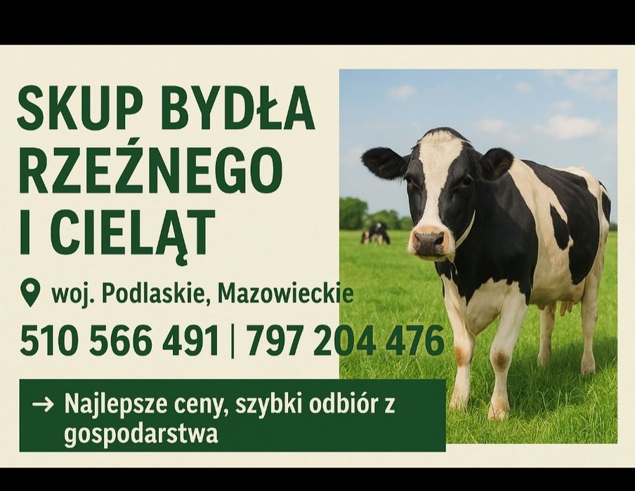 Krowy,Byki,Jałowki,Cielaki