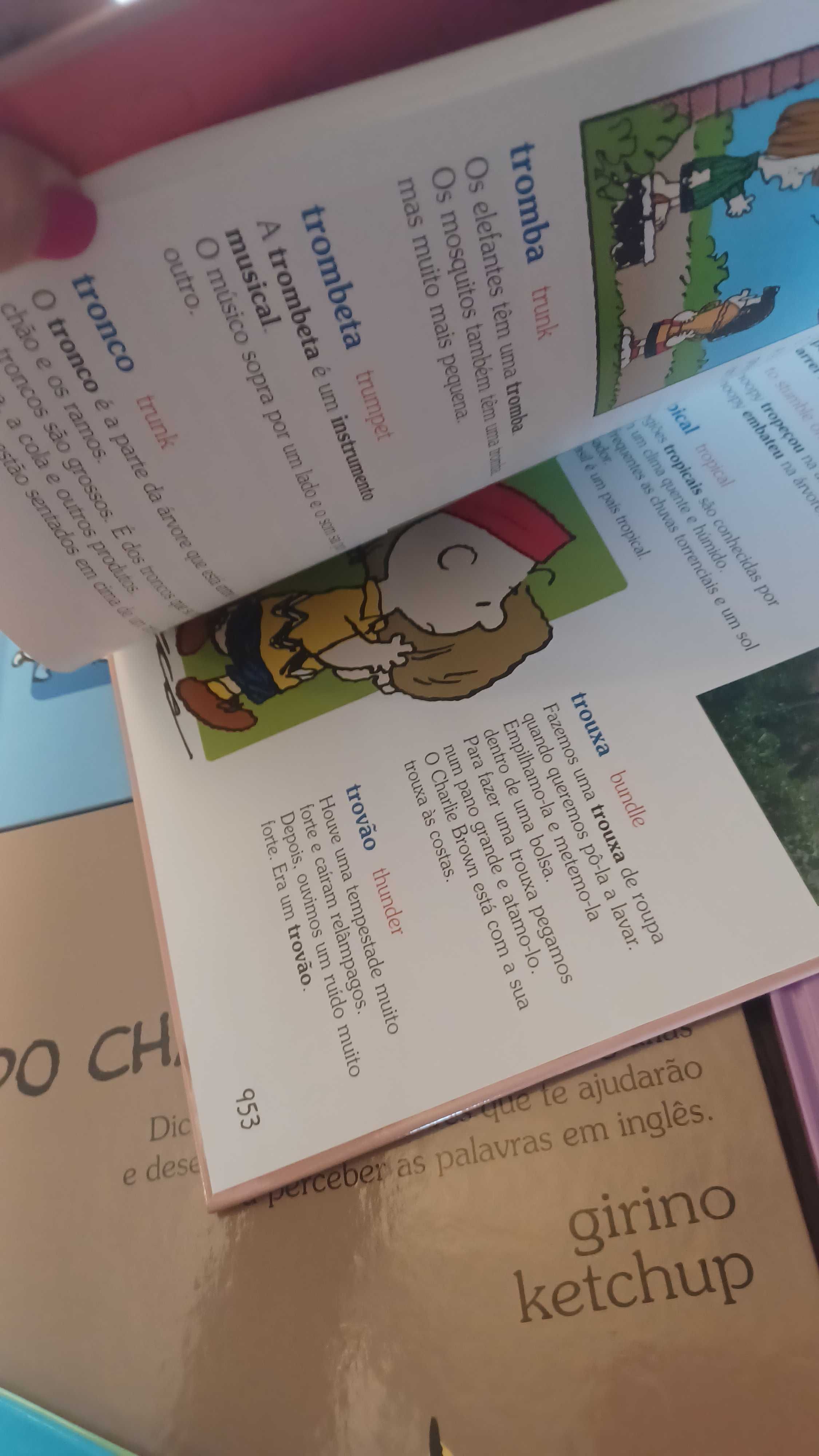 Dicionário Português Charlie Brown- 16 livros