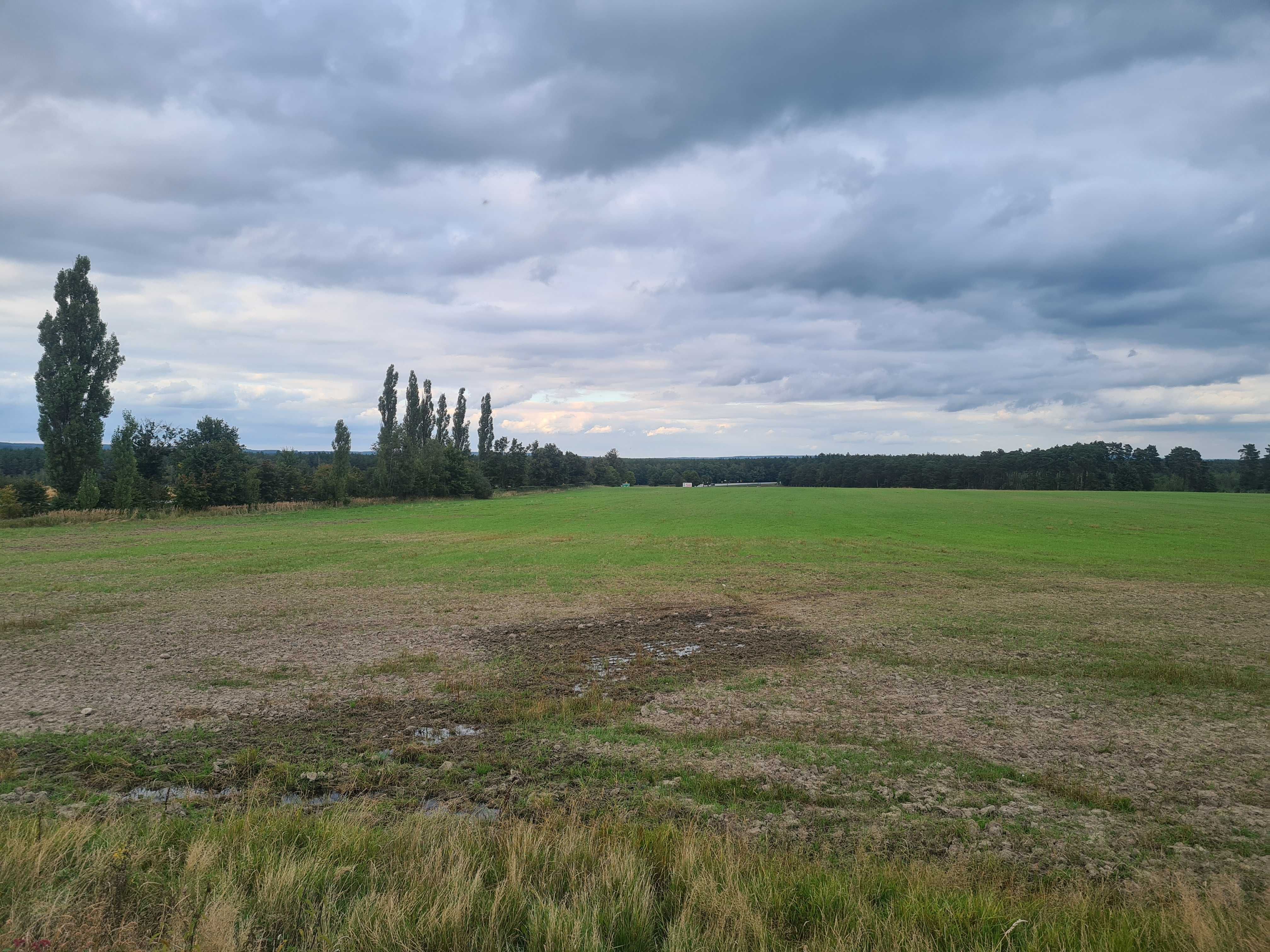 Działka 100000m2 inwestycyjna przemysłowa 20km do Zielona Góra