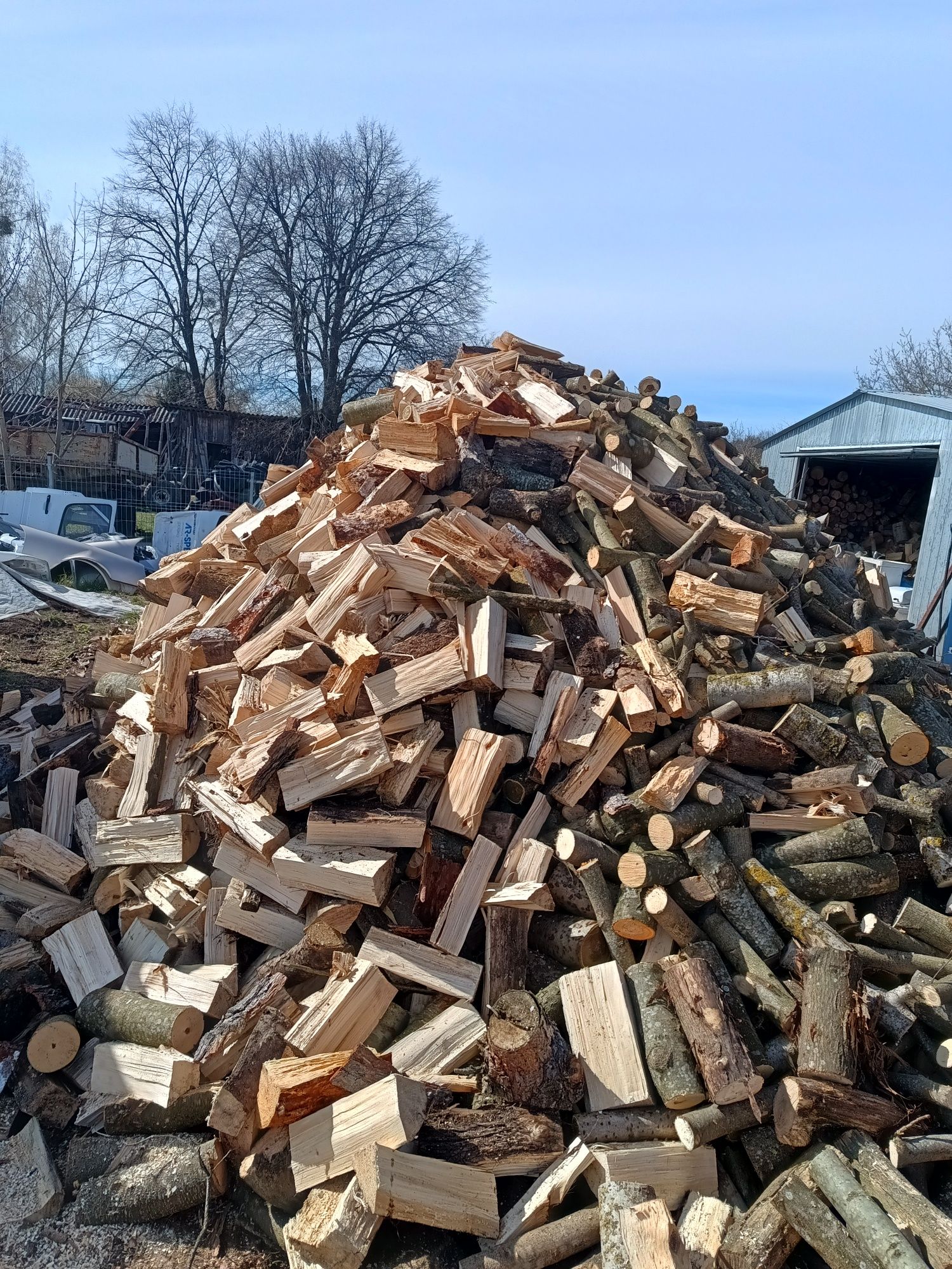 Łuparka do drzewa 8 ton 220 volt gniazdko