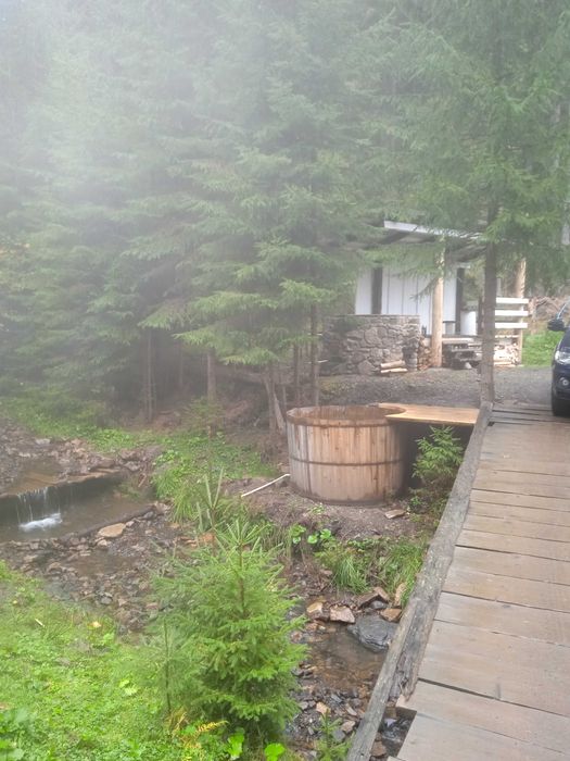 Житло в Карпатах. ' Ніч в Карпатах'