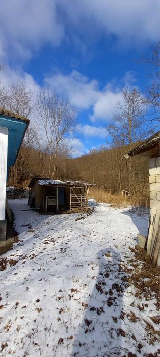 Будинок у мальовничому місці