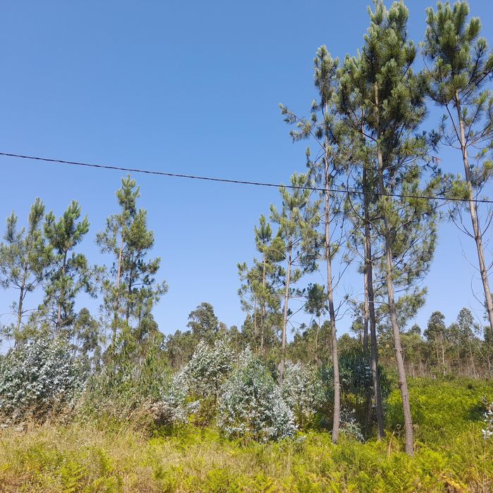 Vende-se um terreno.
