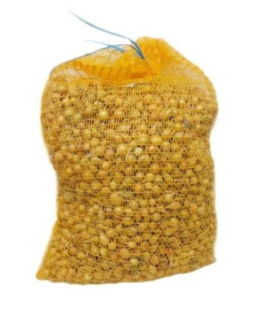 Cebula dymka zimowa Senshyu Yellow 5-20mm 10 kg Piasecki