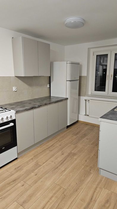 mieszkanie po remoncie do wynajęcia