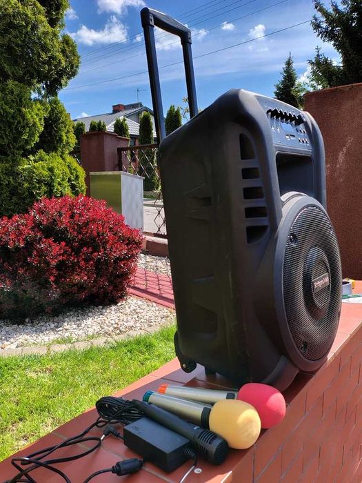 mobilna kolumna głośnikowa