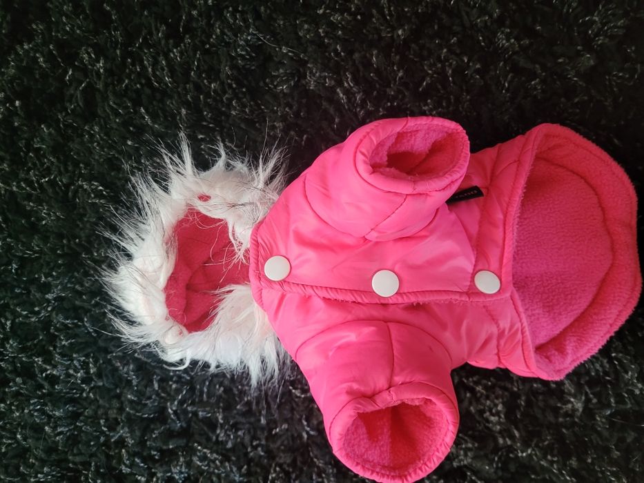 Kurtka dla małego psa