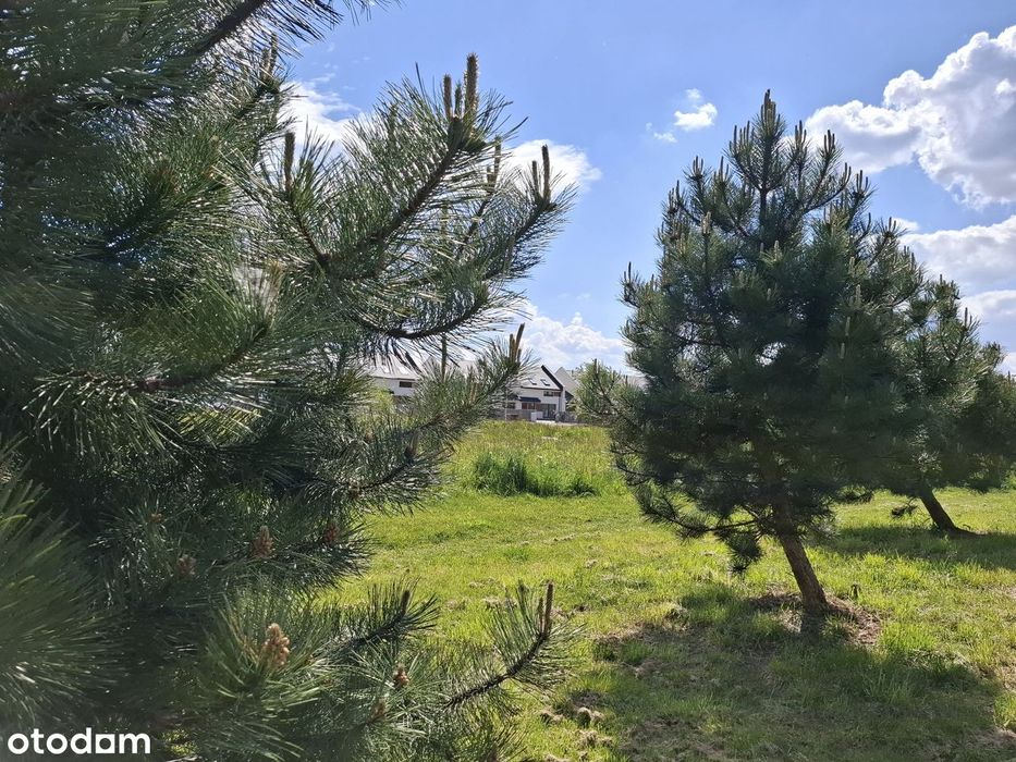 Energooszczędny Gotowy Dom Bemowo/Ożarów Mazowiecki