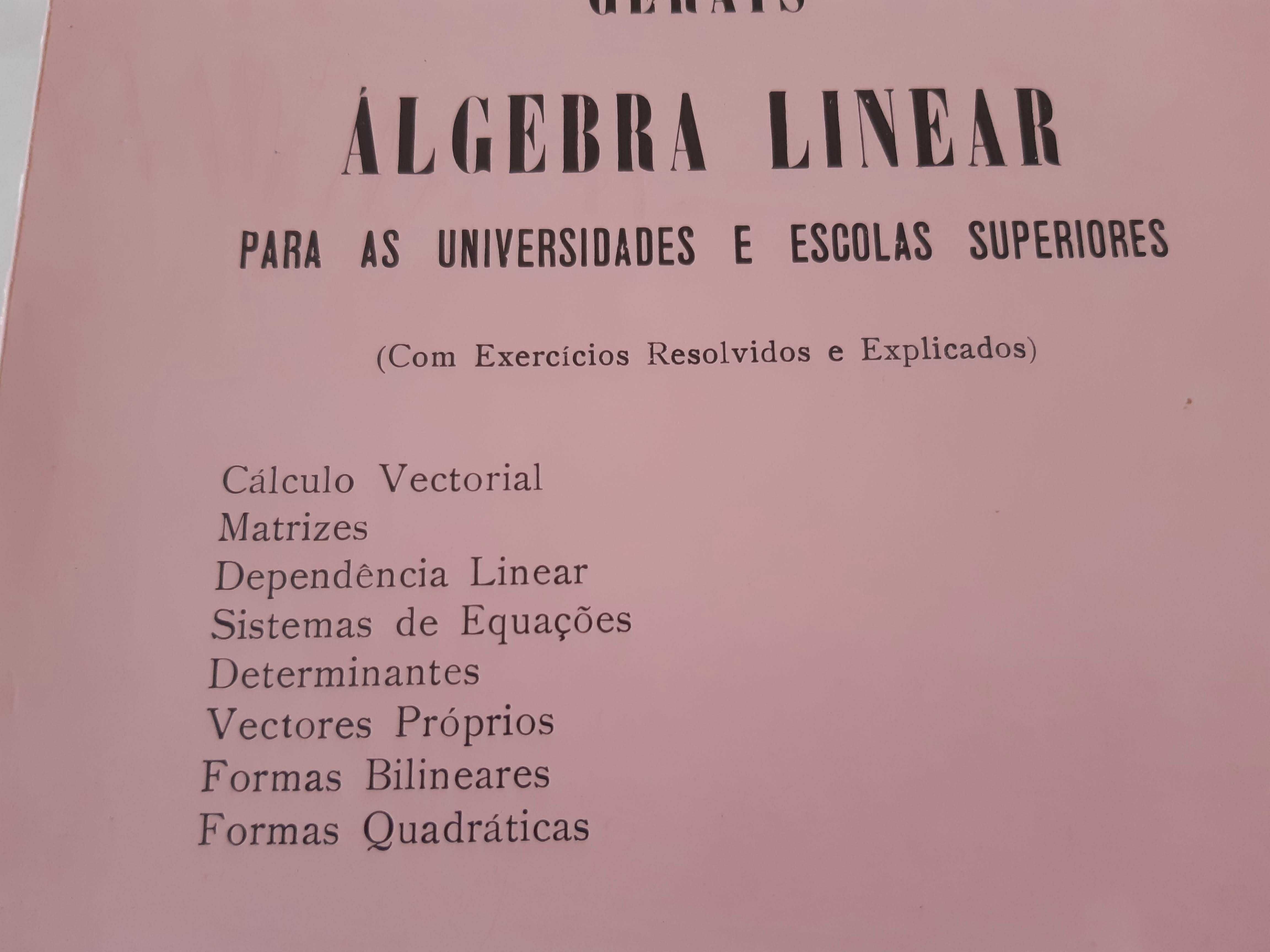 Livro "Sebenta de Matemáticas Gerais -Álgebra Linear",excelente estado