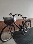 Bicicleta de Passeio