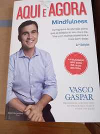 Aqui e Agora Mindfulness