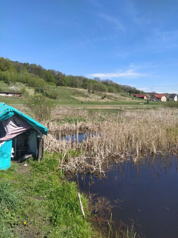 Земельна ділянка зі ставком