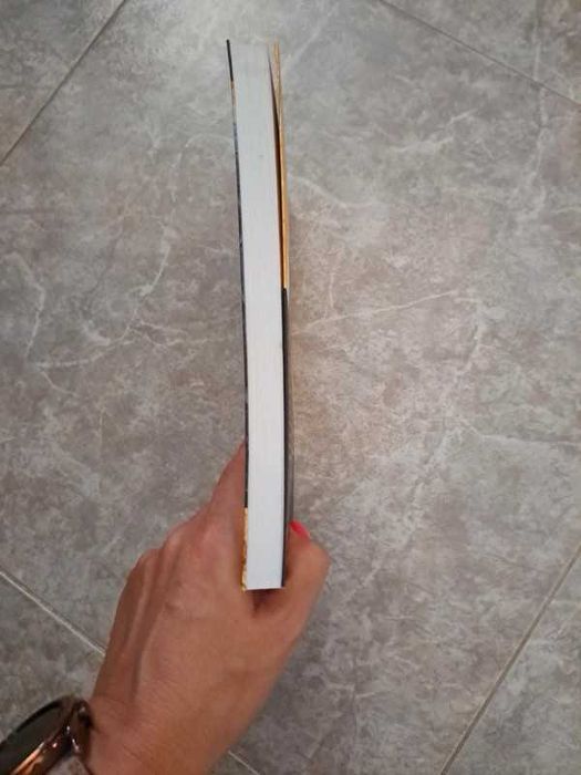 Livro Por Instinto de Rita Ferro