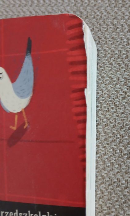 Pucio na wakacjach używany