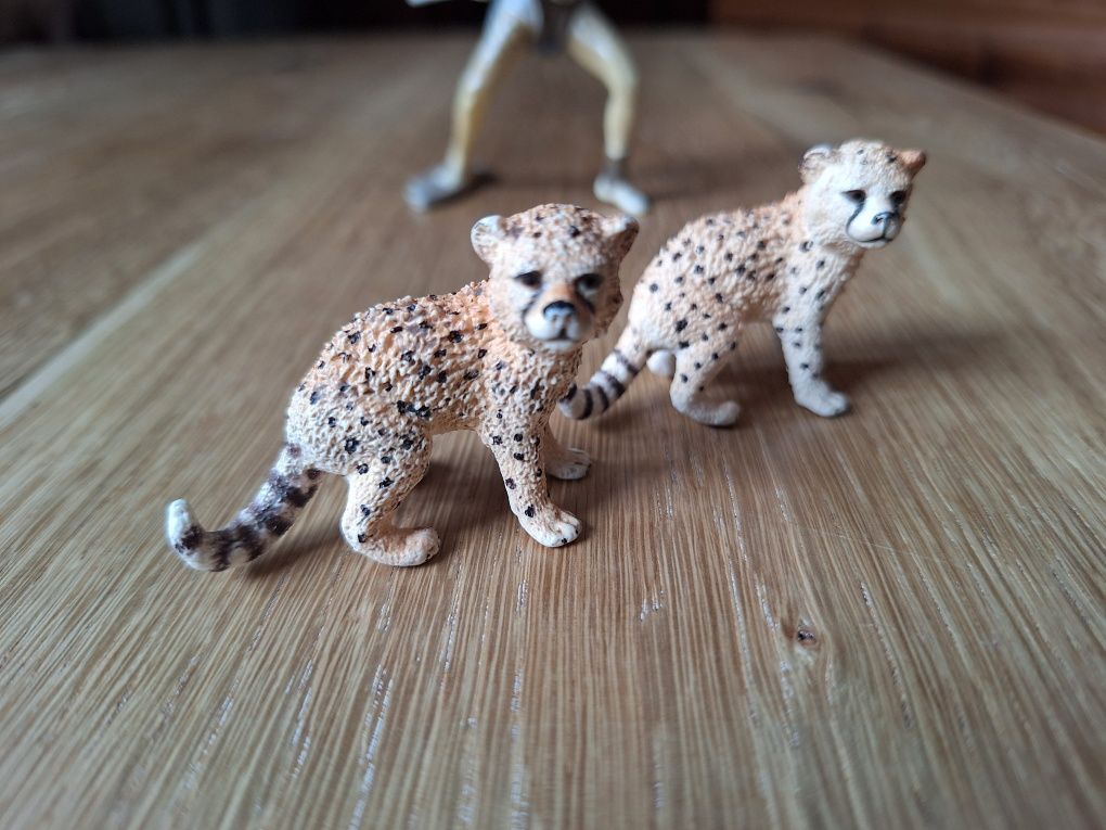 Zestaw gepardów Schleich: 2 młode gepardy plus wojowniczka Liassa