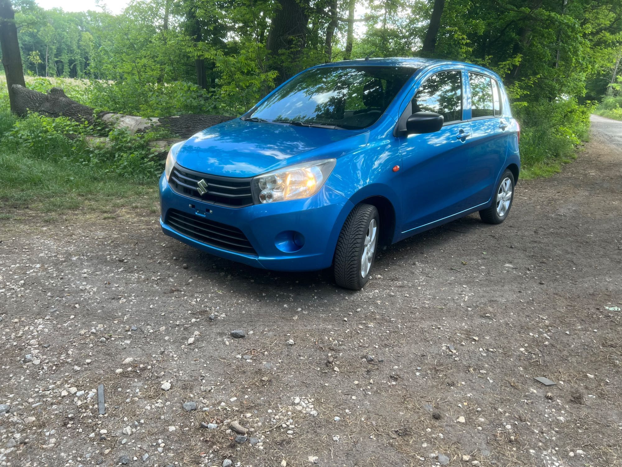 suzuki celerio 1.0 premium