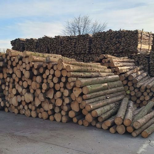 Piła Spalinowa Gałęziówka 4km Mega Zestaw Pilarza 2 Prowadnice 2 Łańcu