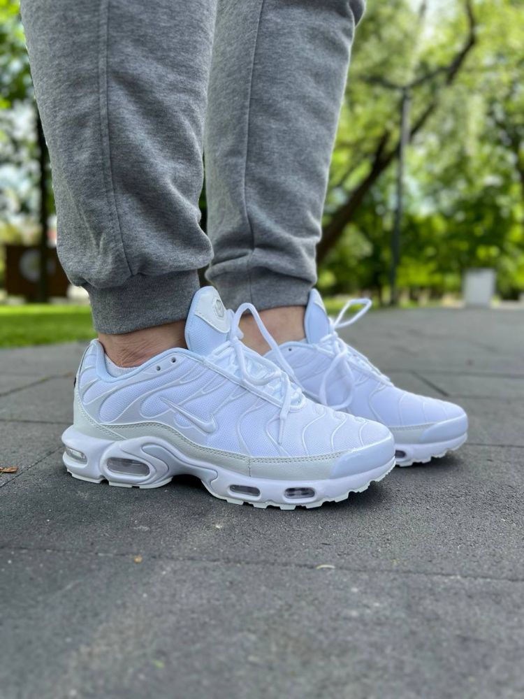 Кроссовки Nike Air Max Plus