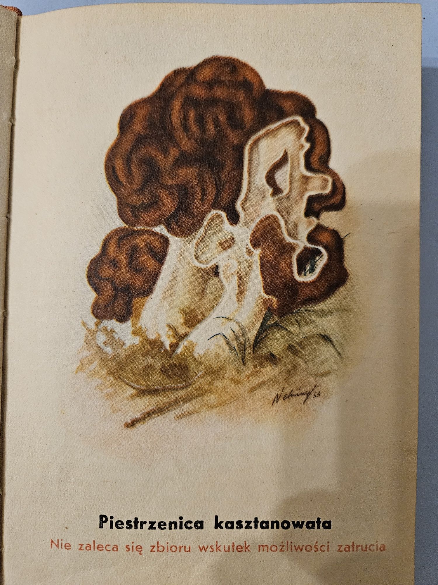 Atlas grzybów.  Henryk Orłoś