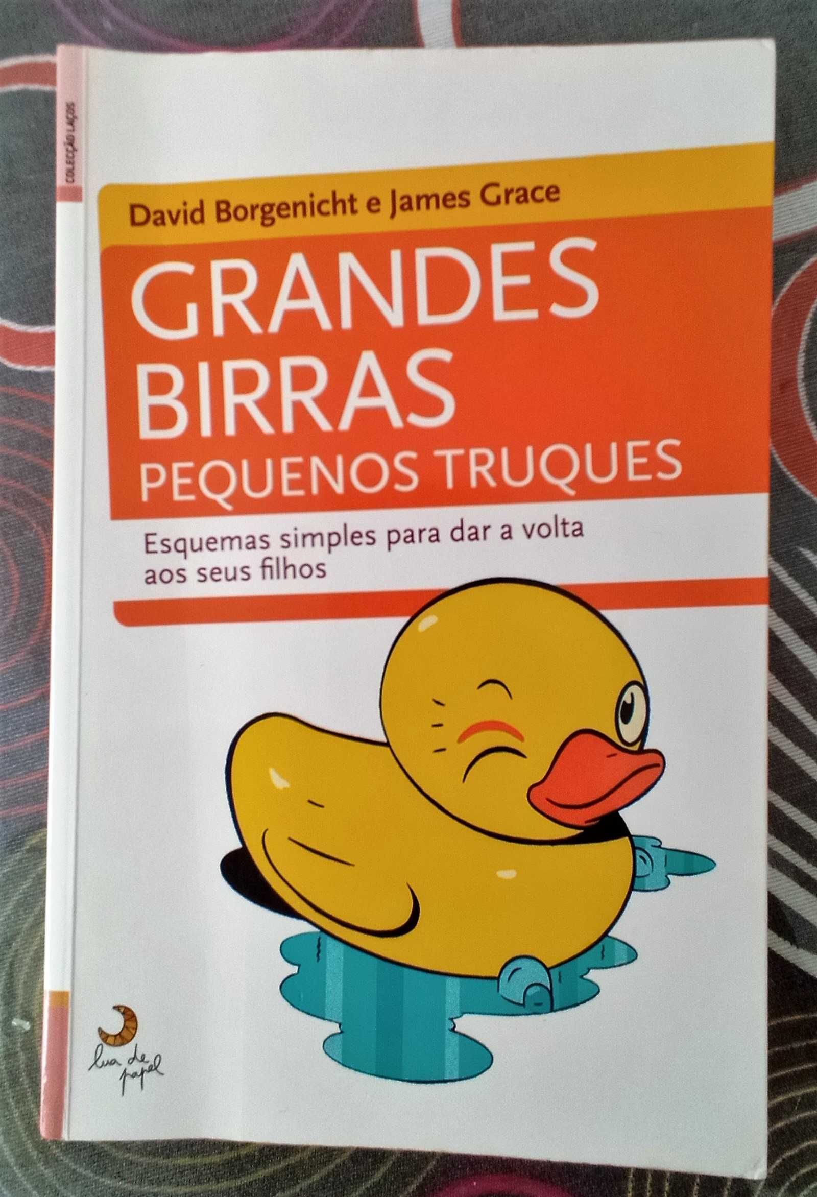 Livro Grandes Birras, Pequenos Truques