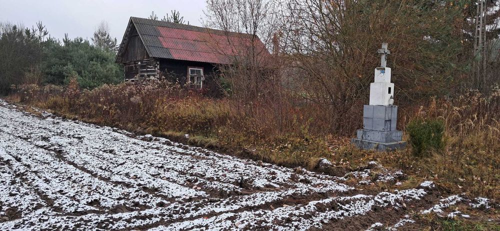 Siedlisko działka ponad 1 ha z domkiem pod lasem do remontu