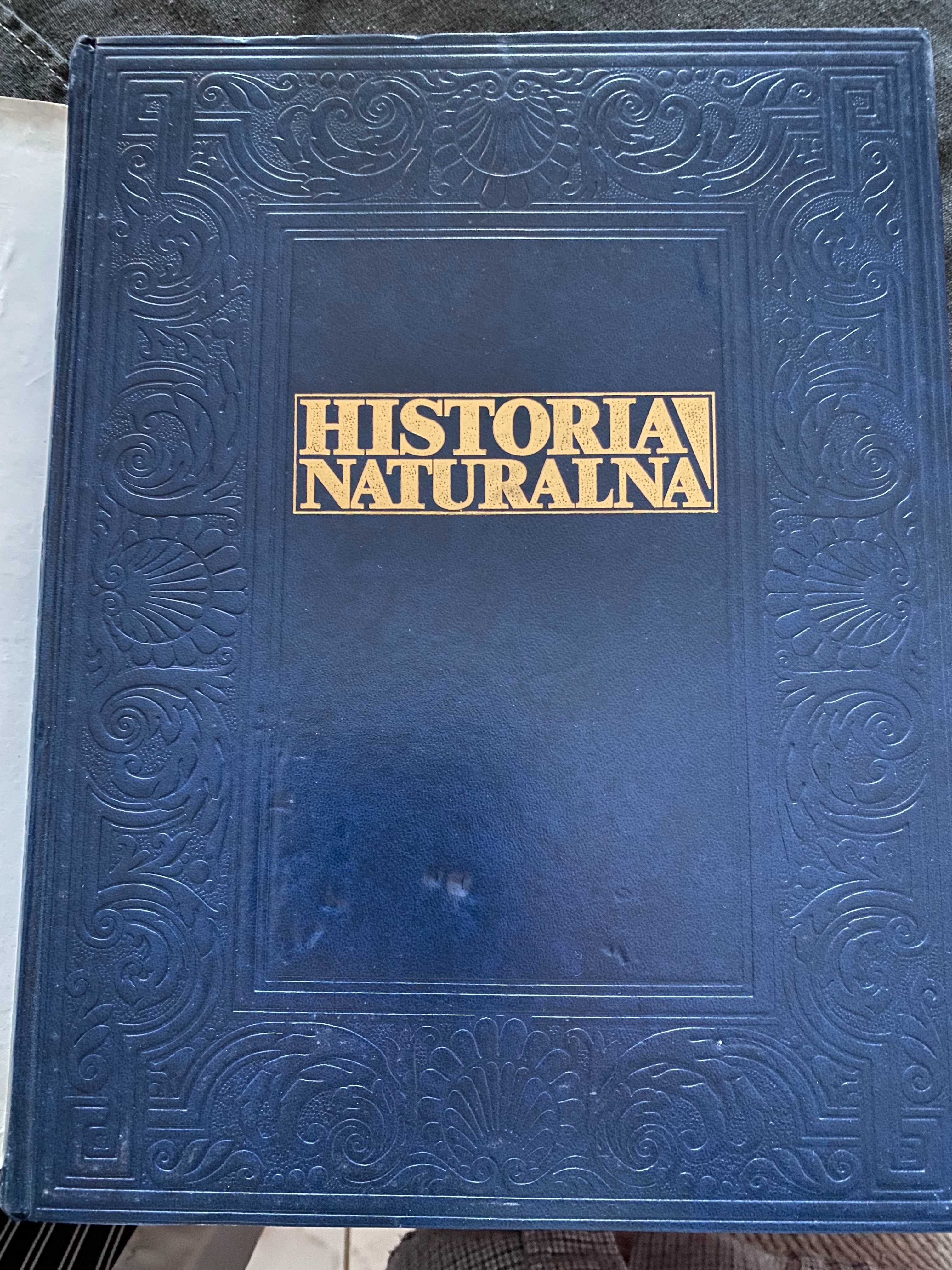 Historia Naturalna-Bezkregowce