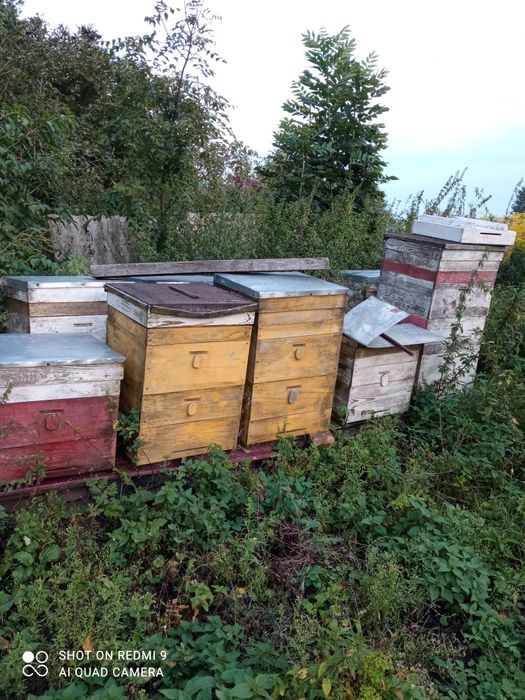 Продам вулики для бжіл б/в