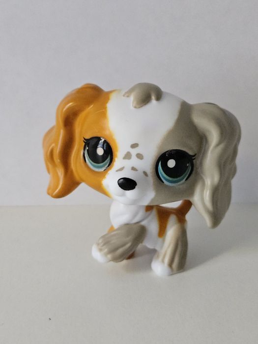 Cocker spaniel  LPS