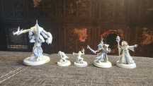 Kill team Brood Brothers plus brood coven