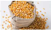 Кукурудза пшениця соя соняшник