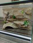 Terrarium 60x40x40, 50x30x30 Gekon, żółw, agama