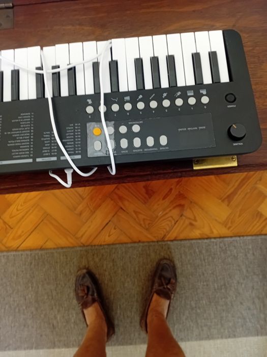 Música órgão portátil