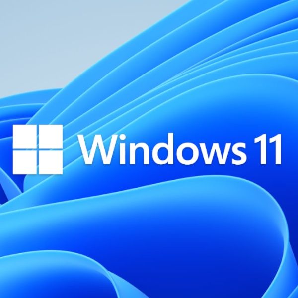 Usługa instalacji Windows 11/ Linux