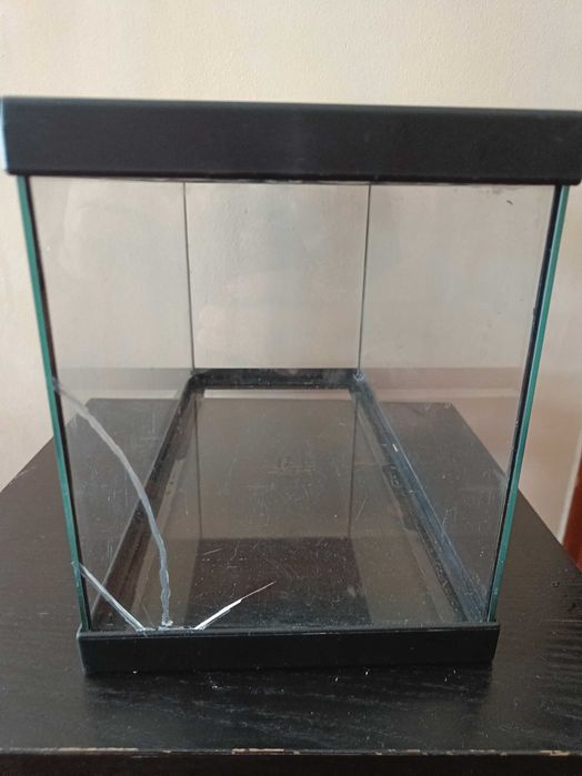 Aquário com acessórios