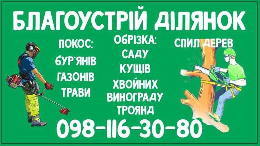 СПИЛ дерев, Обрізка саду, Стрижка хвойних