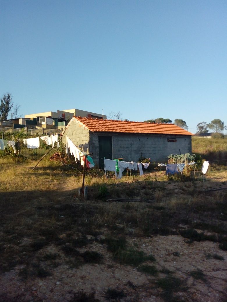 Pequena quinta t3 com 5000m2 de terreno