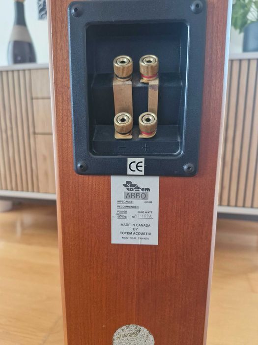 Colunas de Som HIFI - Totem ARRO