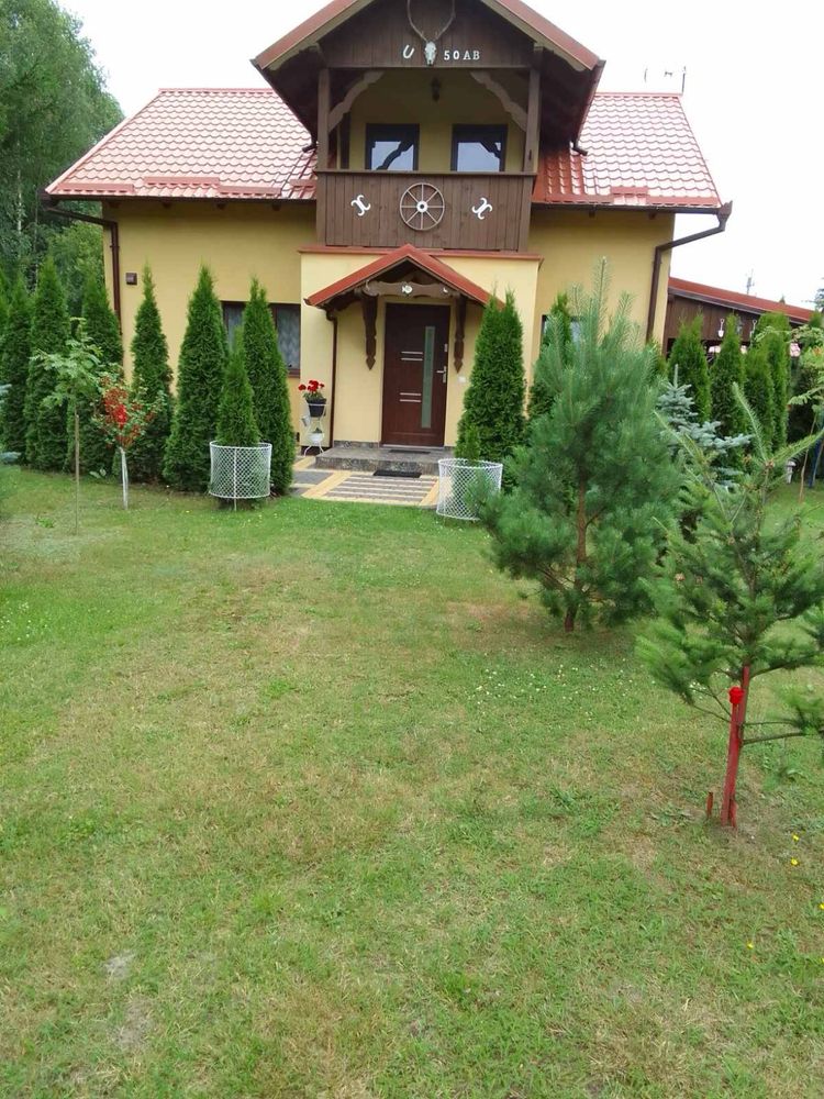 Domki do wynajęcia