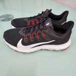 Sapatilhas Nike Quest