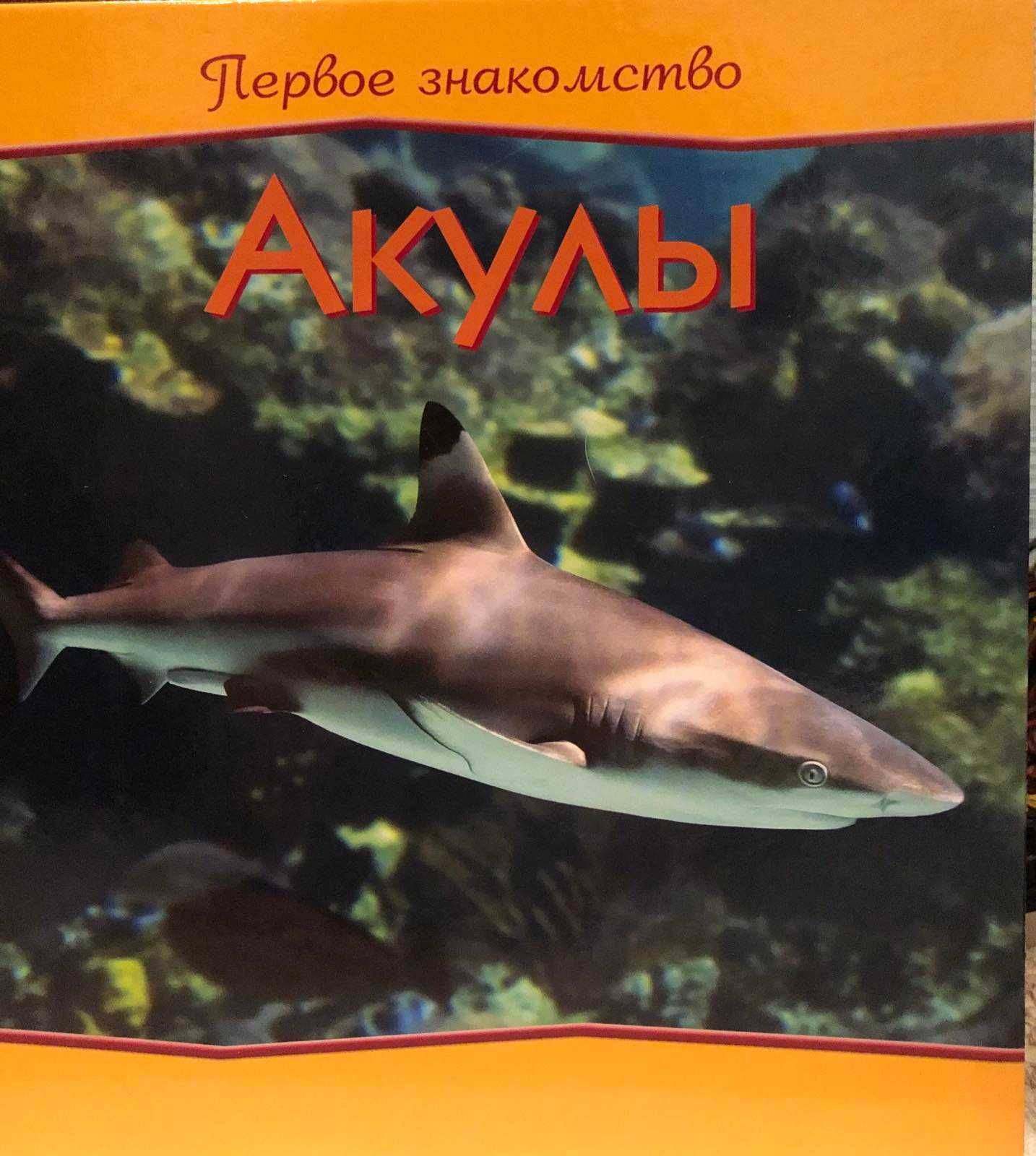 Книги о животных "Первое знакомство" детская книга "Гуленьки"