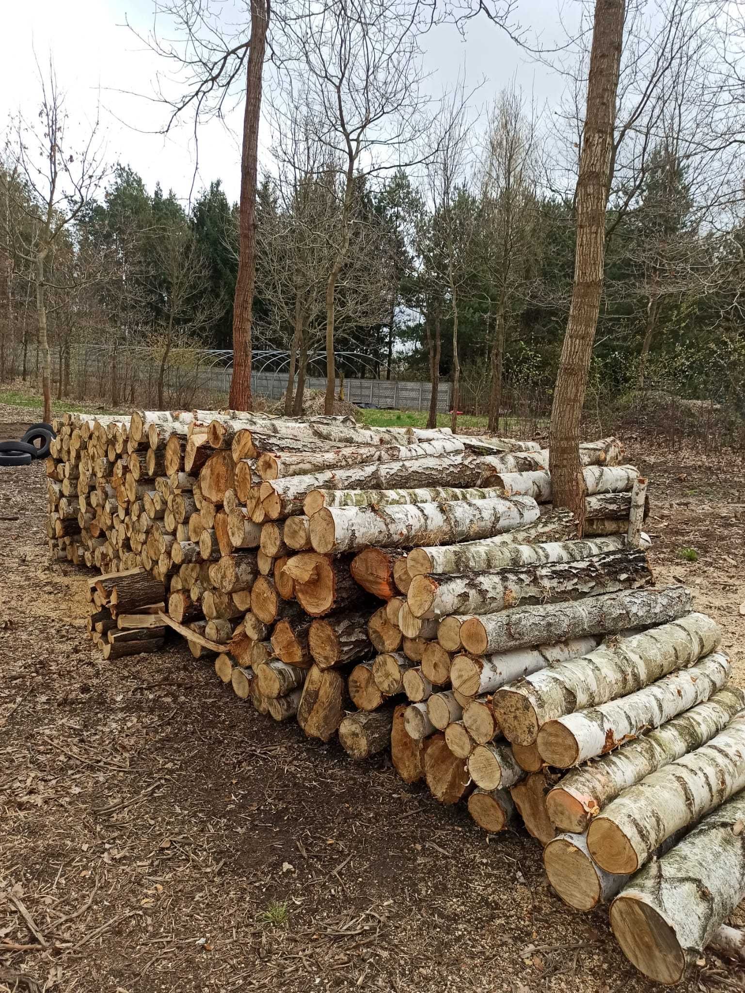 Drewno Kominkowe / Opałowe Brzoza Akacja Dąb Jesion wałki HURT / DETAL