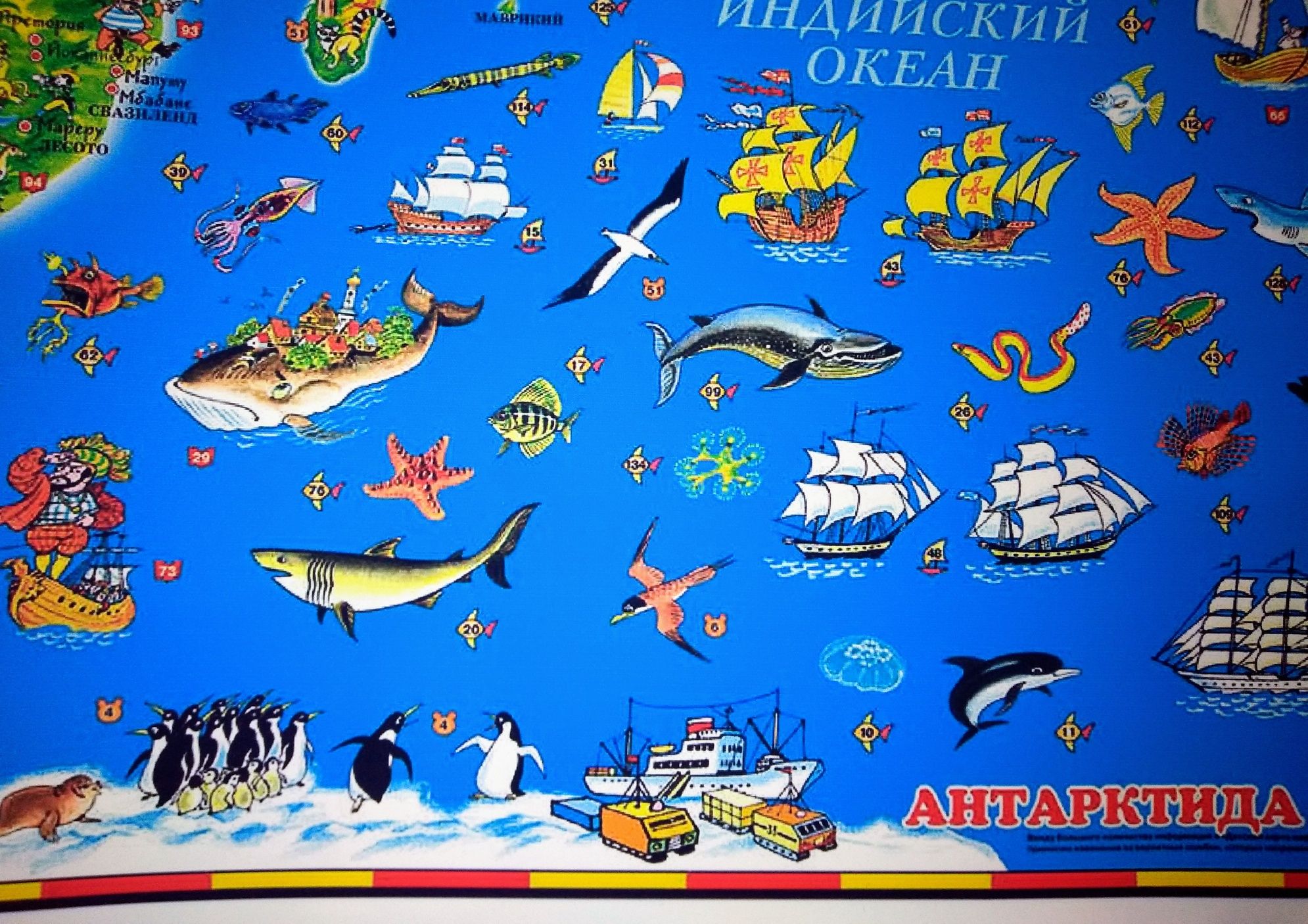 Детская карта мира