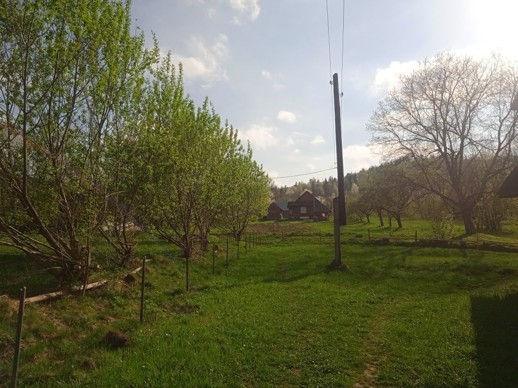 Будинок із земельною ділянкою