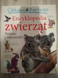 Encyklopedia zwierząt NOWA!