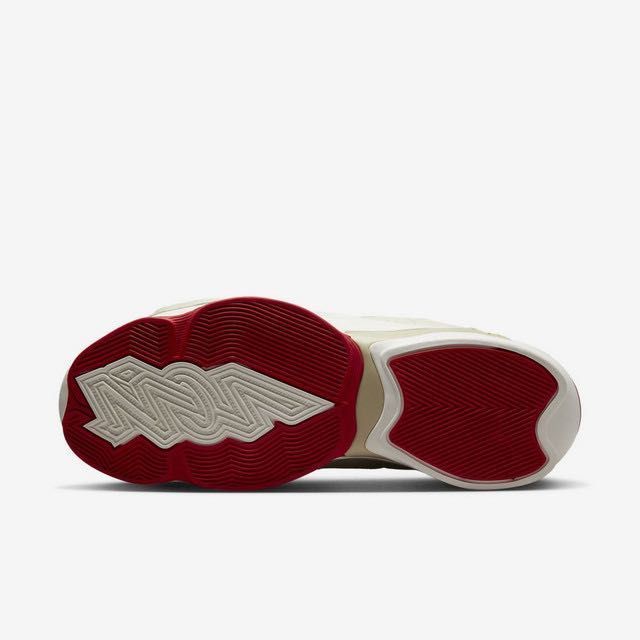 США! Кросівки Nike Air Jordan Zion 2 Dunk (40р по 49.5р) (DO8990-217)