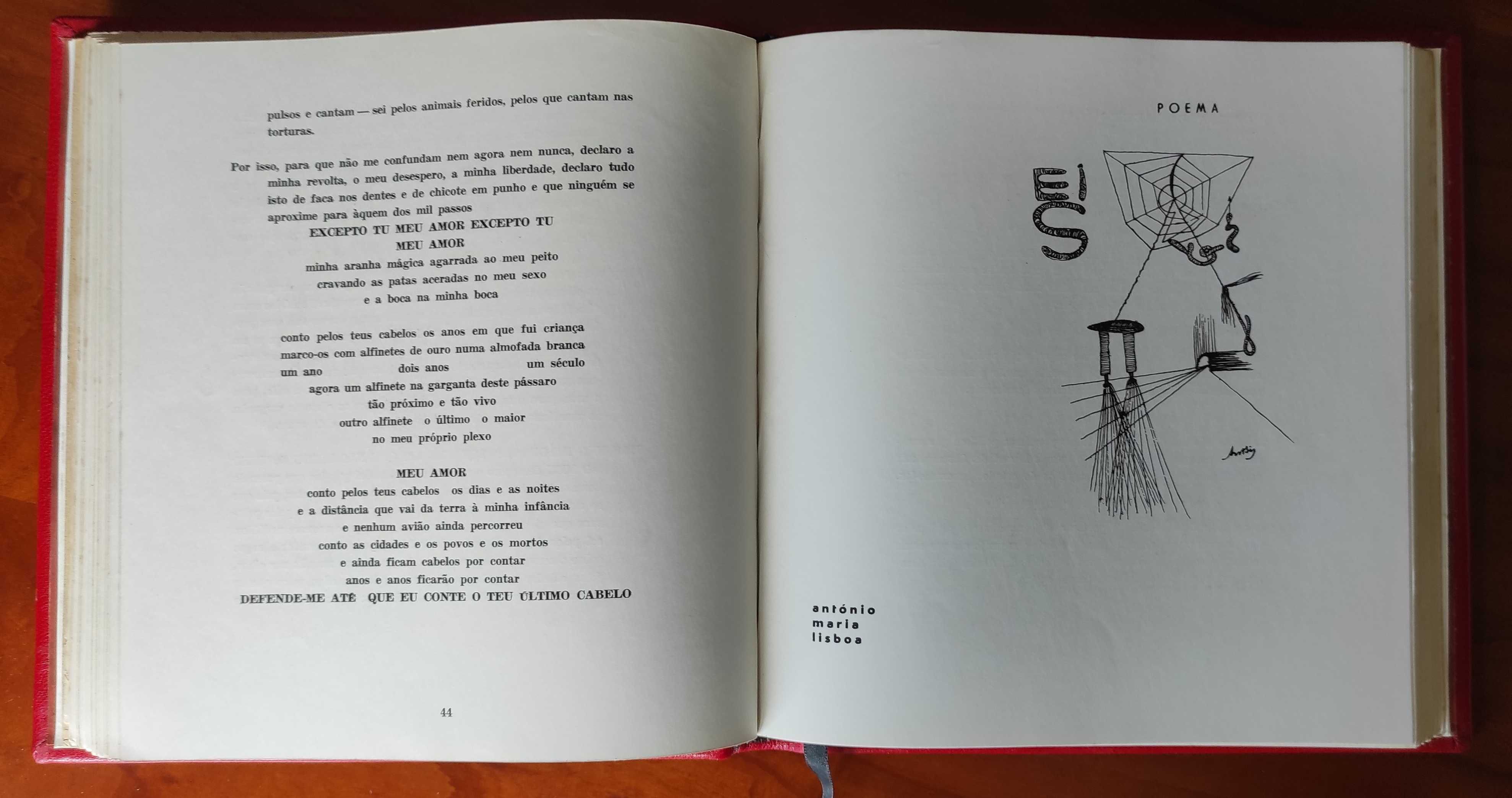 Surrealismo / Abjeccionismo