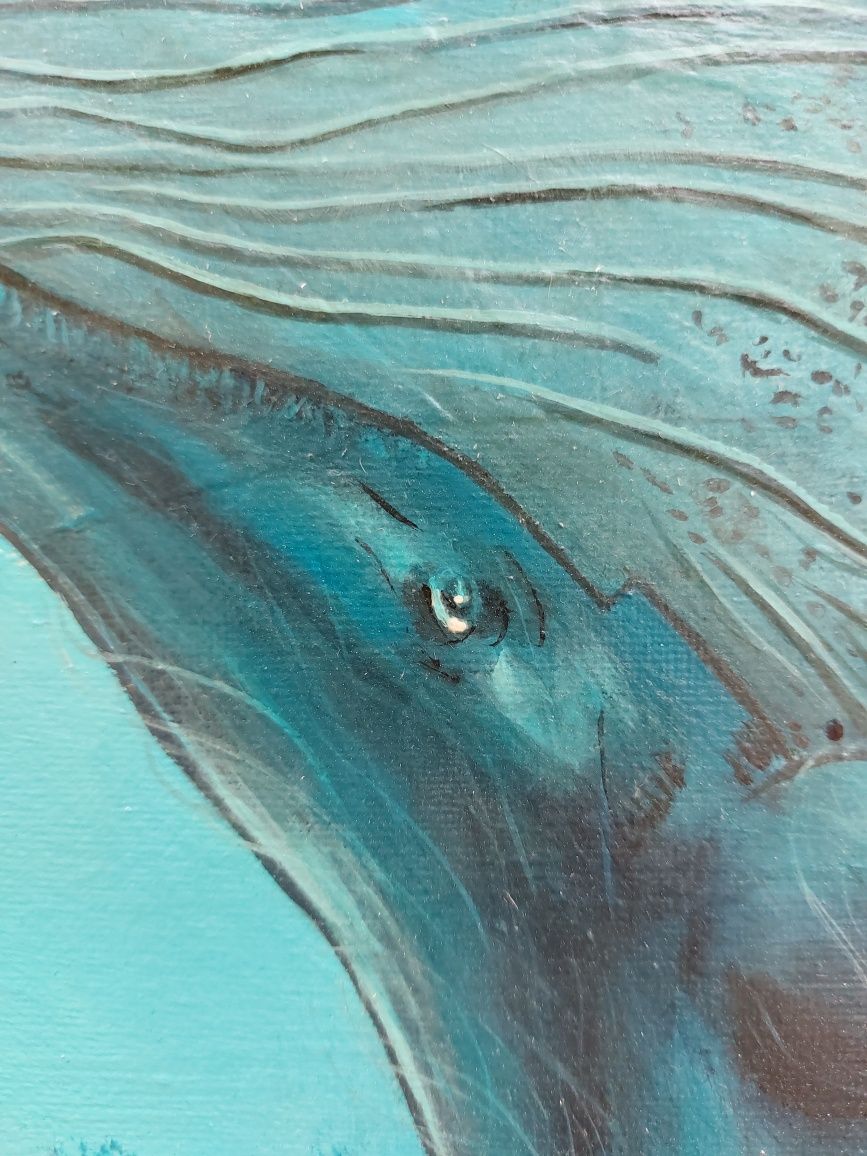 Obraz akrylowy Wieloryb