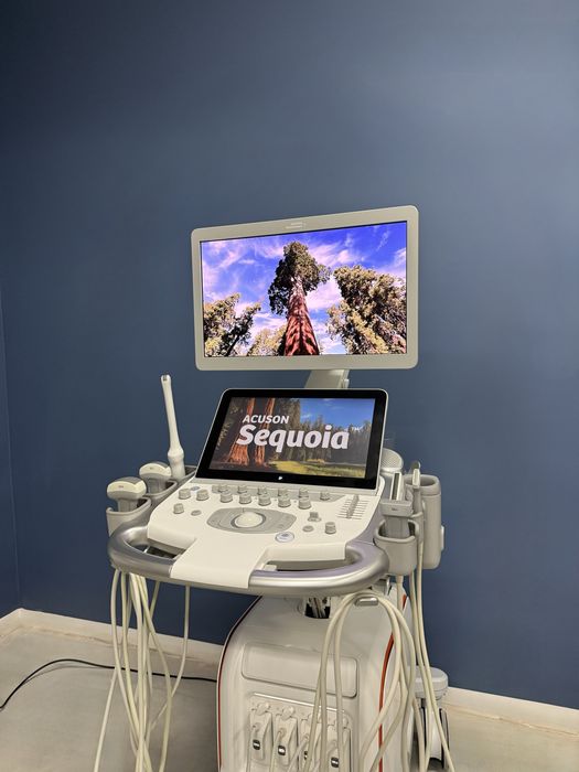 УЗД Siemens Acuson Sequoia DAX 2023р 6 дат УЗИ Ультразвуковий апарат